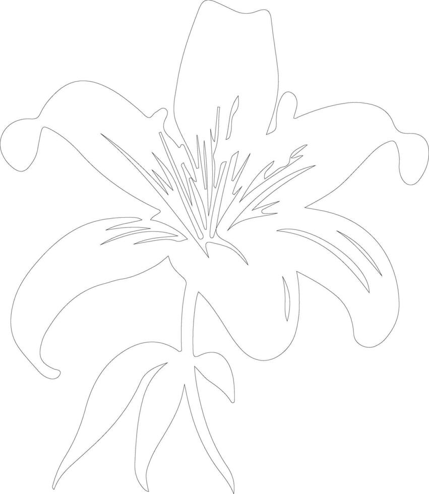 AI generated lily  outline silhouette vector