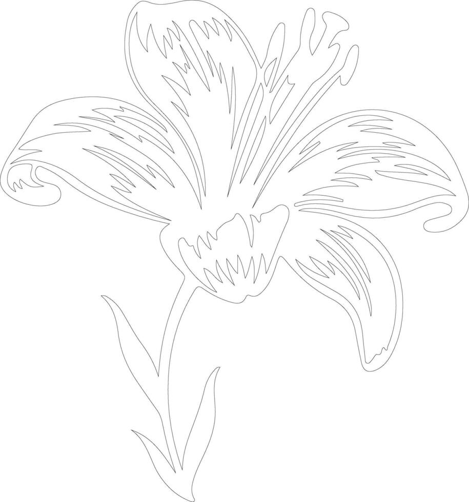 AI generated lily  outline silhouette vector