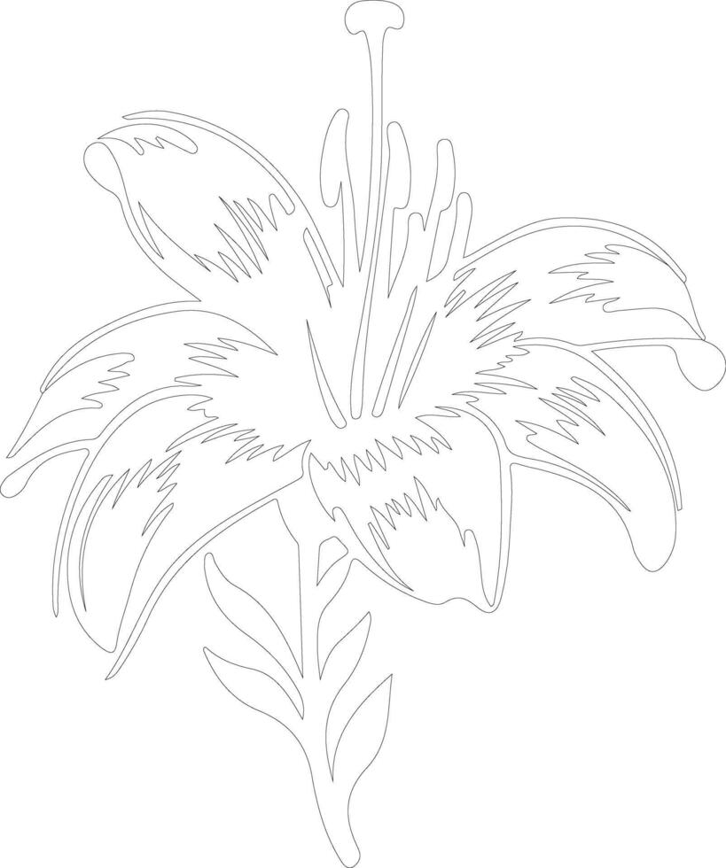 AI generated lily  outline silhouette vector