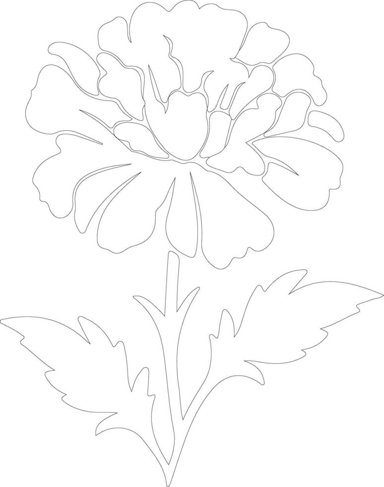 AI generated marigold  outline silhouette vector