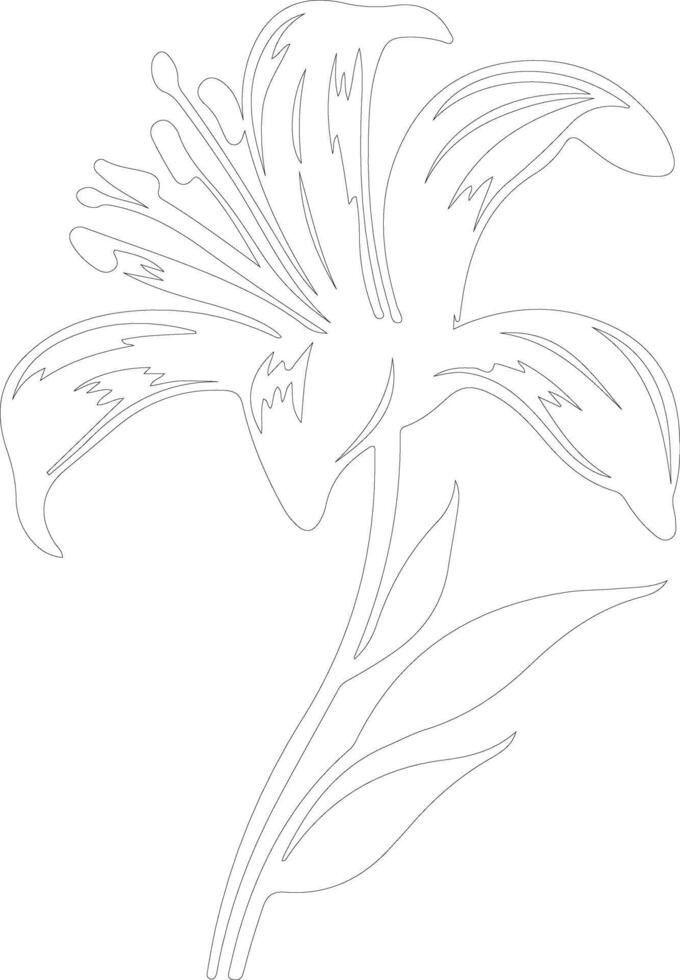 AI generated lily  outline silhouette vector