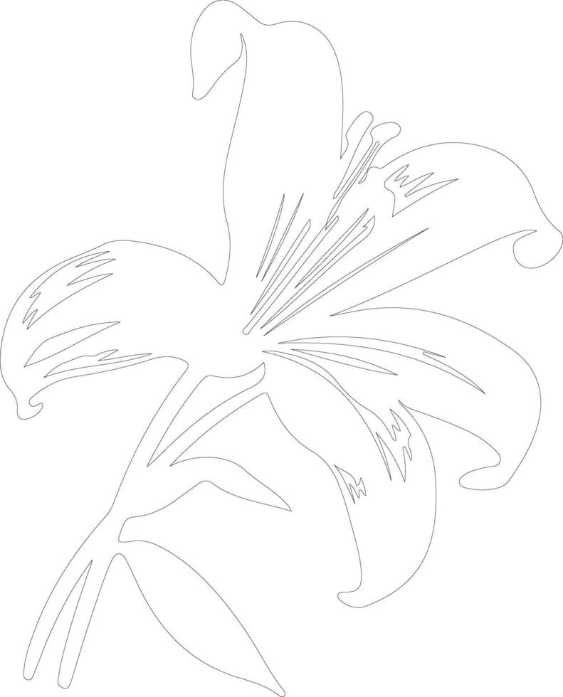 AI generated lily  outline silhouette vector