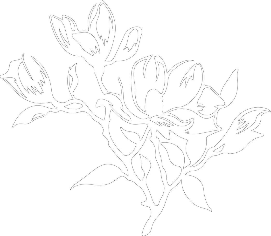 AI generated magnolia  outline silhouette vector