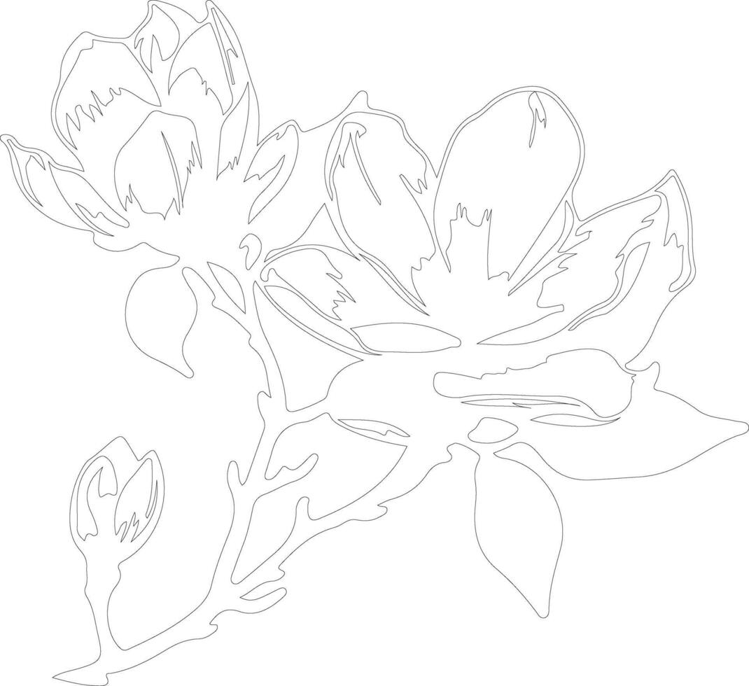 AI generated magnolia  outline silhouette vector