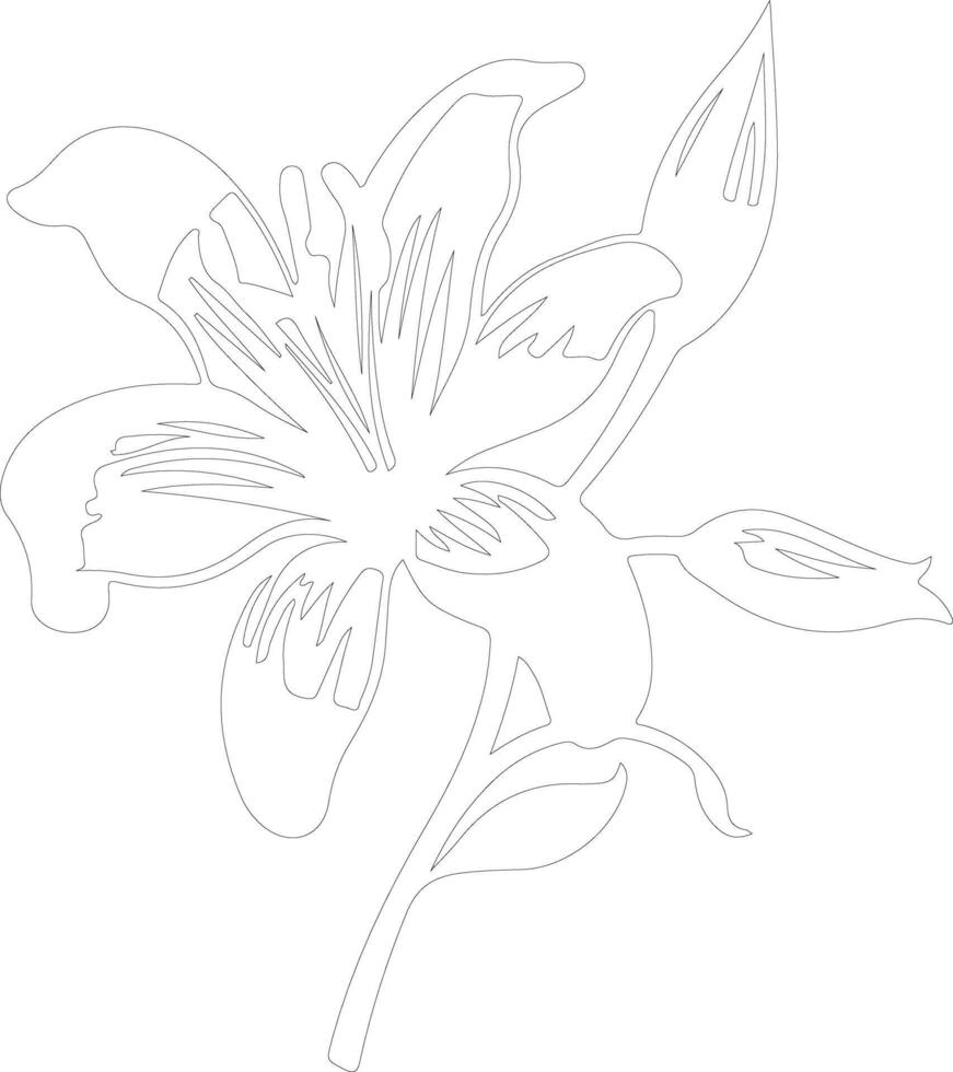 AI generated lily  outline silhouette vector