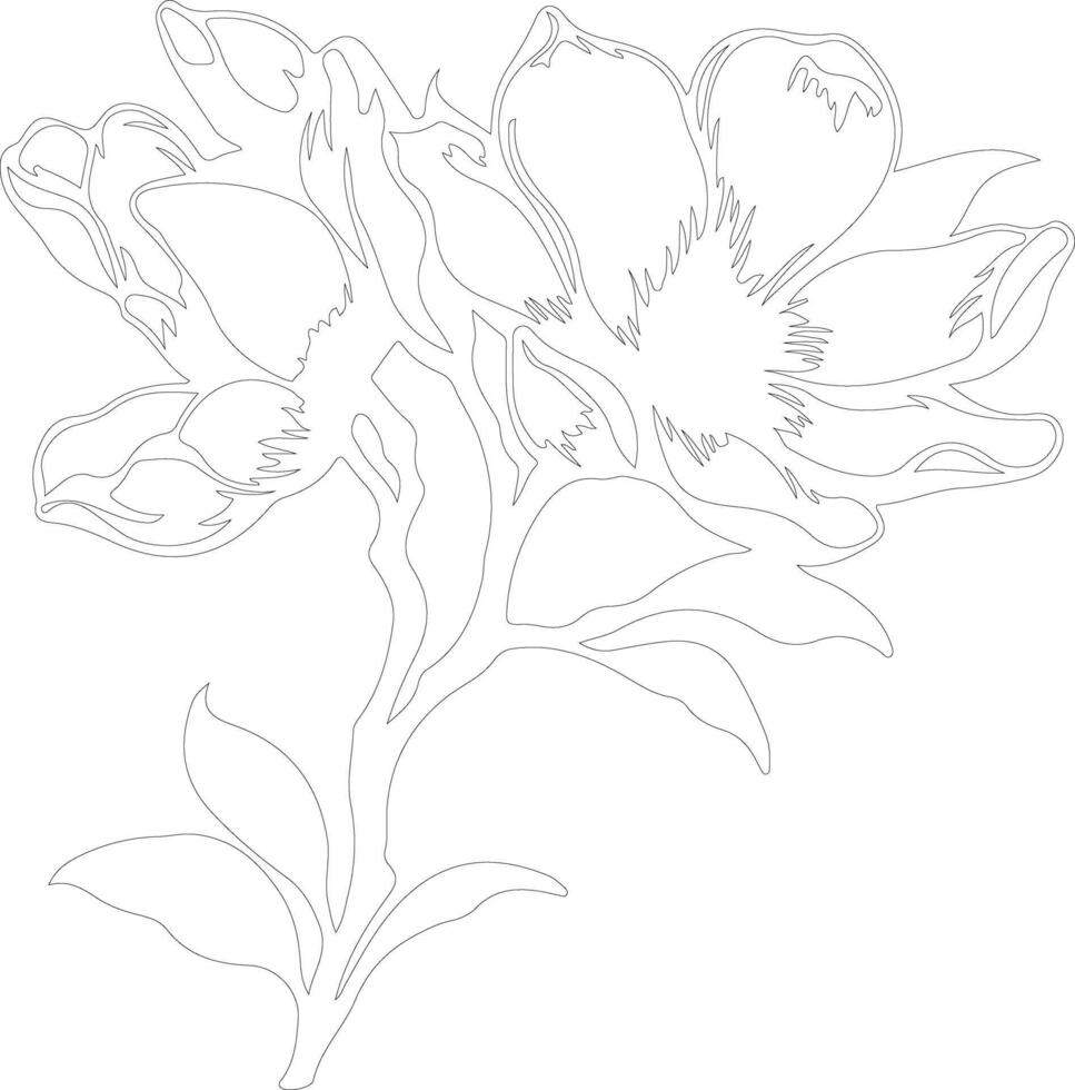 AI generated magnolia  outline silhouette vector