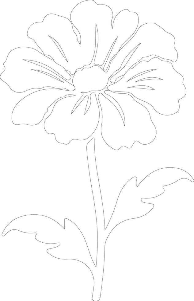 AI generated marigold  outline silhouette vector