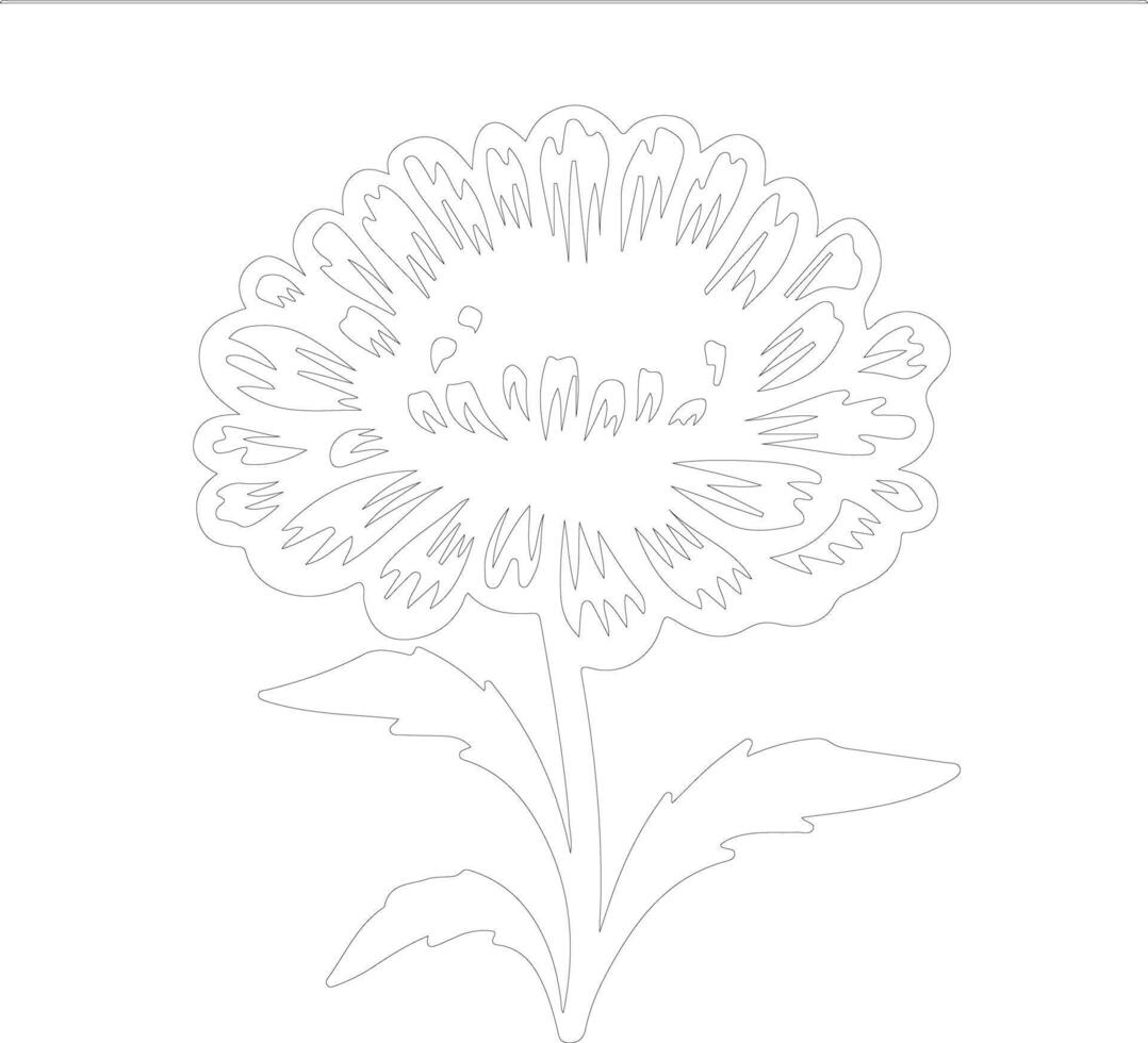 AI generated marigold  outline silhouette vector