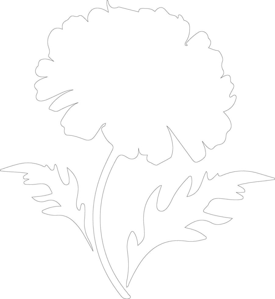 AI generated marigold  outline silhouette vector