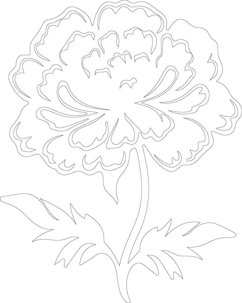 AI generated marigold  outline silhouette vector