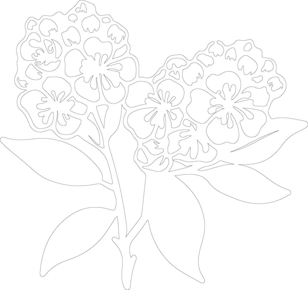 AI generated mountain laurel  outline silhouette vector