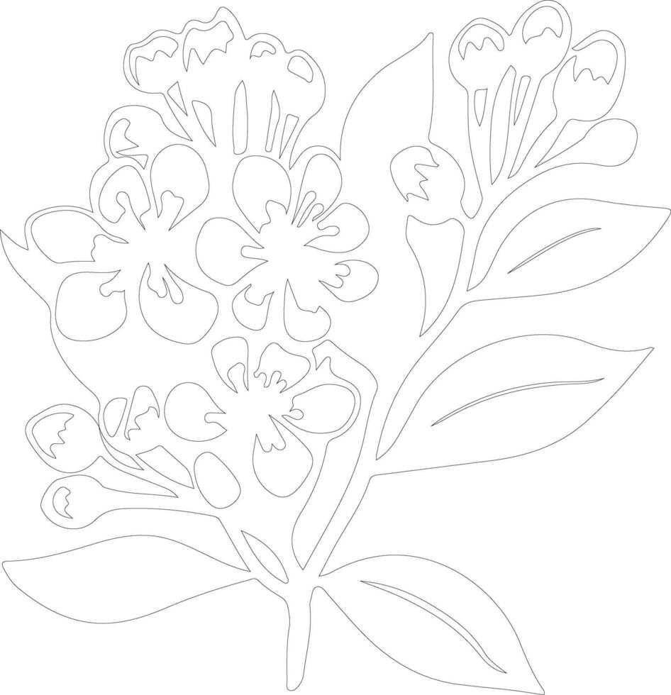 AI generated mountain laurel  outline silhouette vector