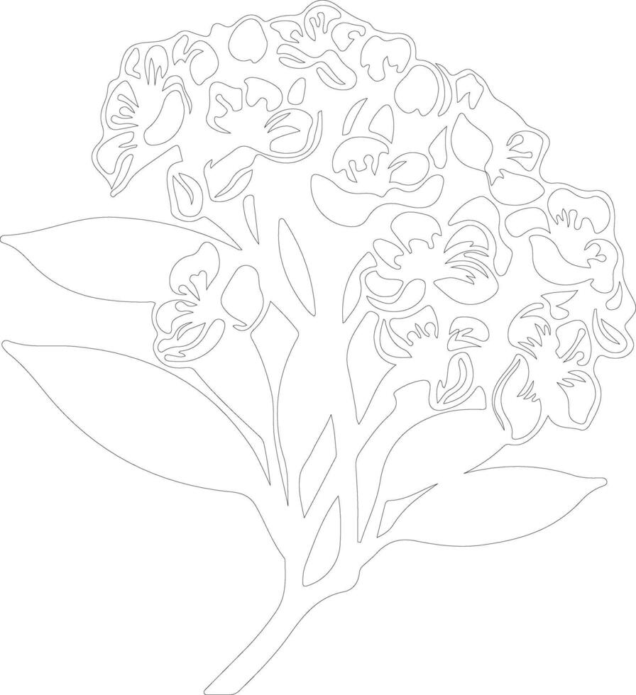 AI generated mountain laurel  outline silhouette vector