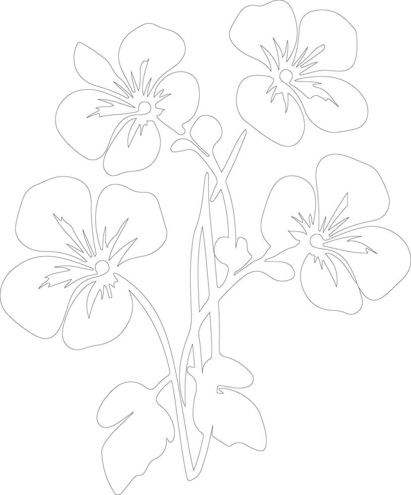 AI generated nasturtium  outline silhouette vector