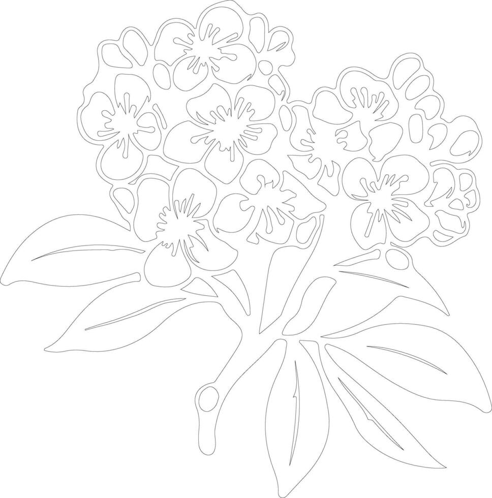 AI generated mountain laurel  outline silhouette vector