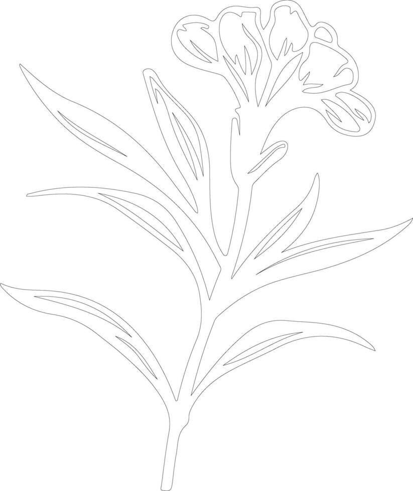 AI generated oleander outline silhouette vector