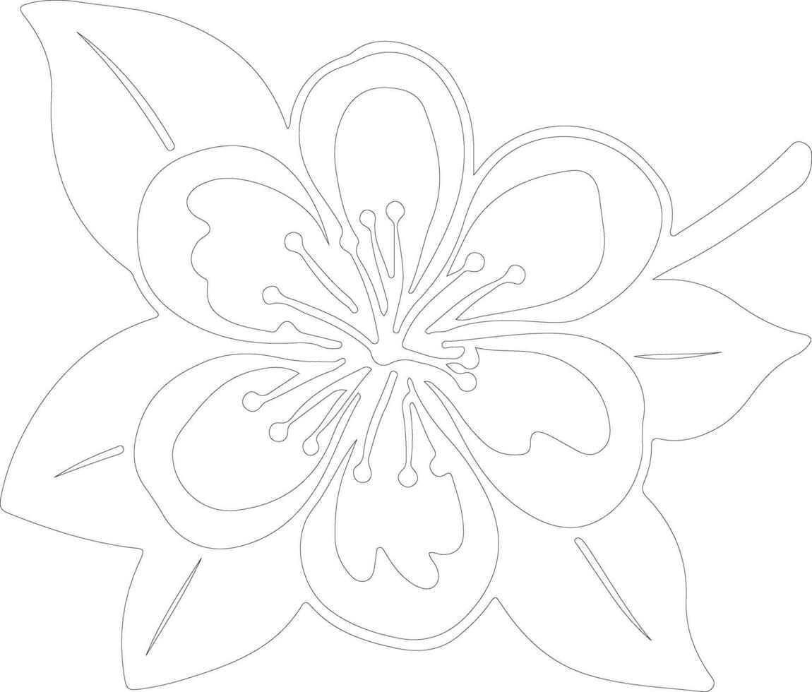 AI generated orange blossom  outline silhouette vector