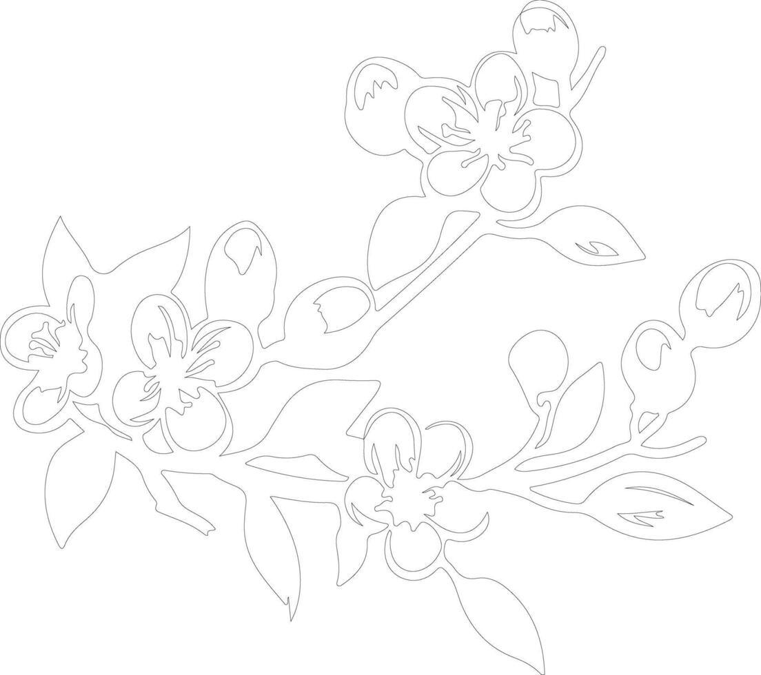 AI generated orange blossom  outline silhouette vector