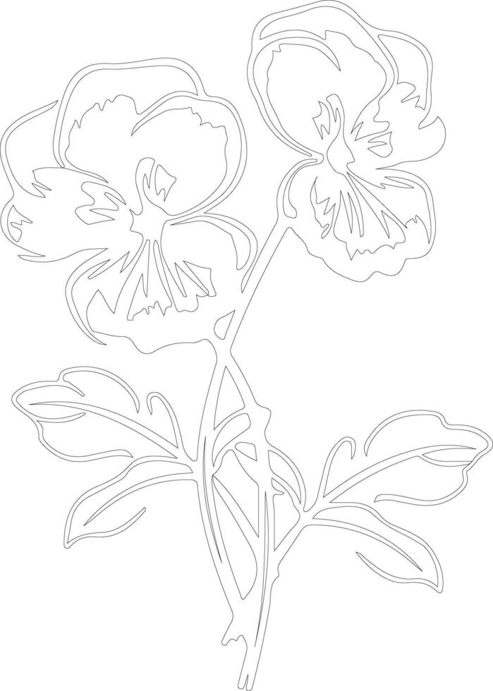 AI generated pansy  outline silhouette vector