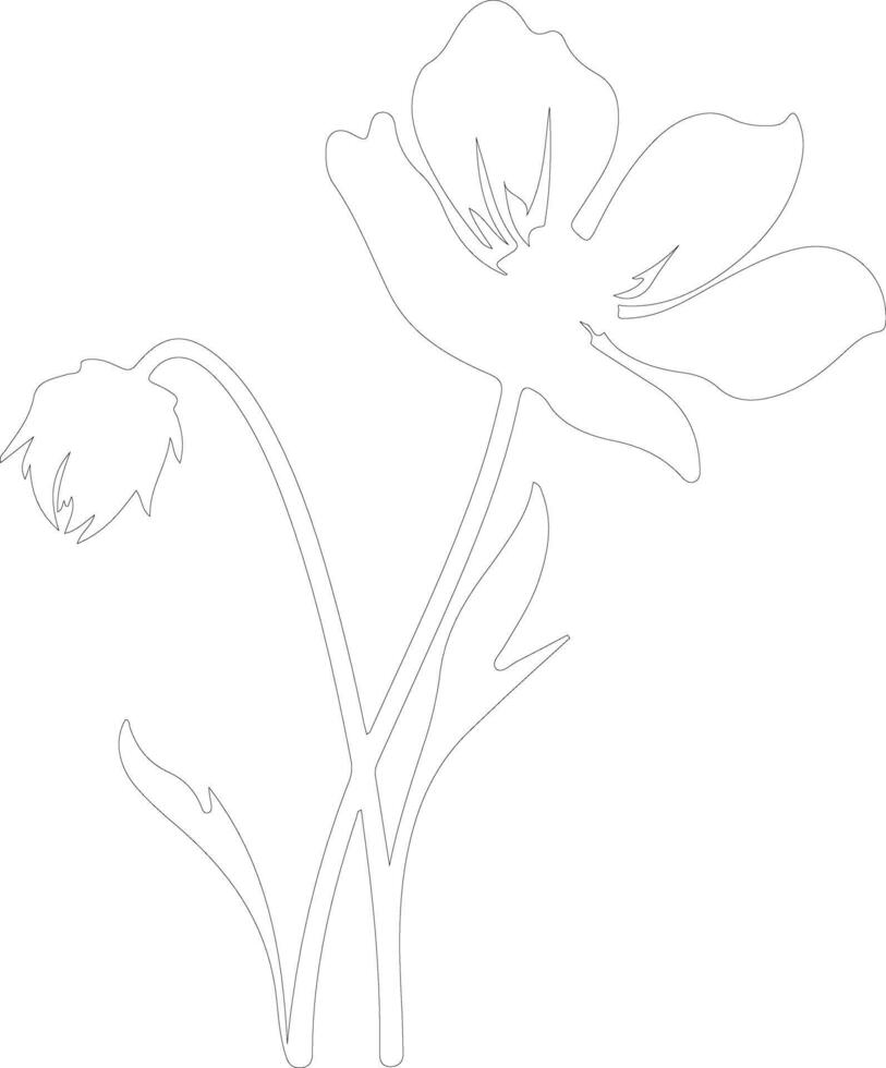 AI generated pasque flower  outline silhouette vector