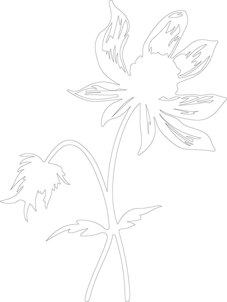 AI generated pasque flower  outline silhouette vector