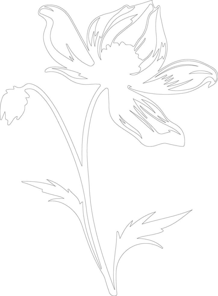 AI generated pasque flower  outline silhouette vector