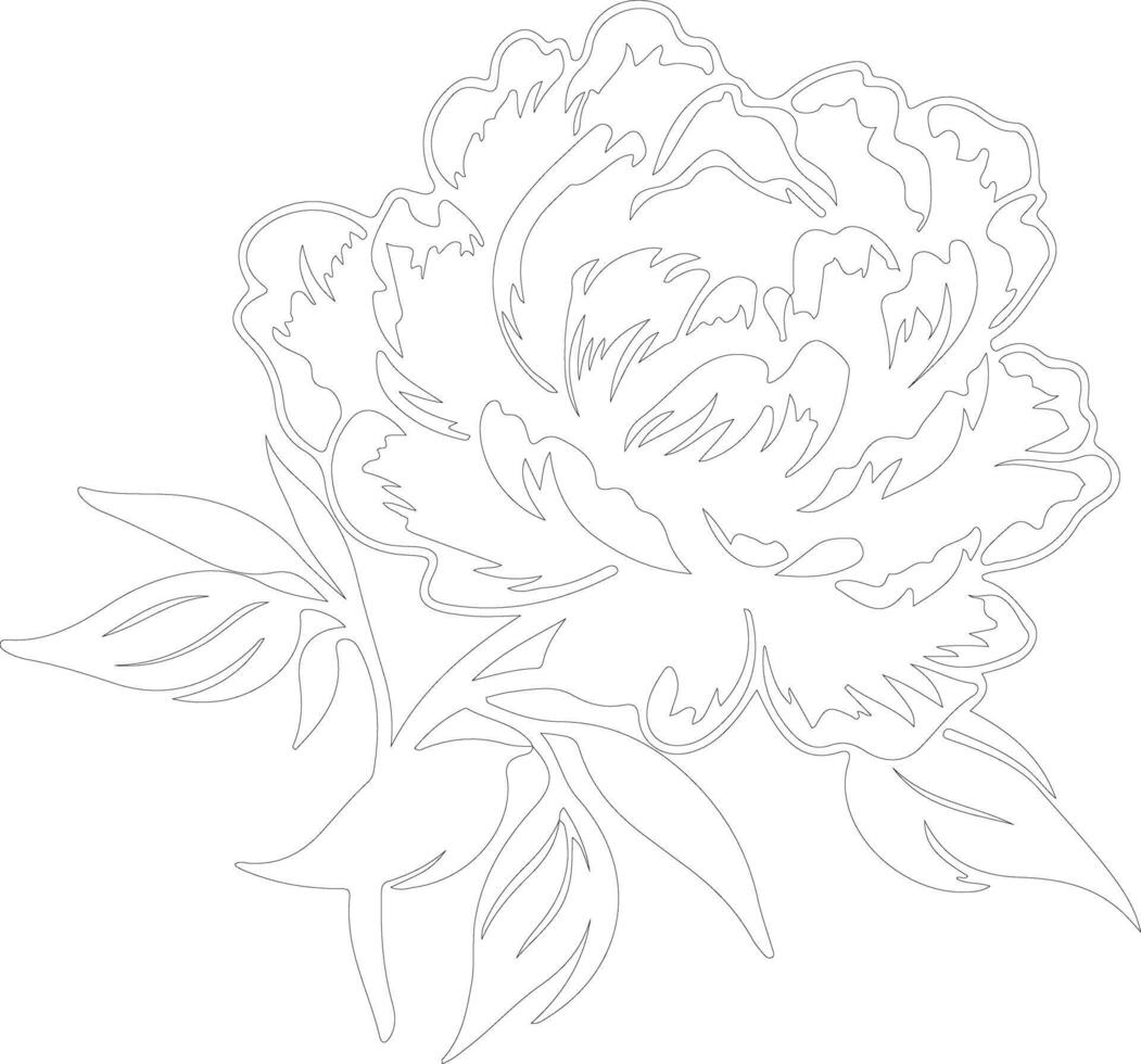 AI generated peony  outline silhouette vector