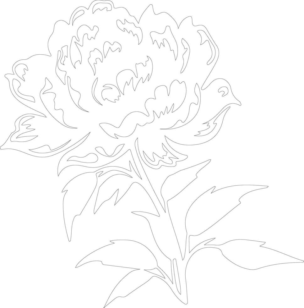 AI generated peony  outline silhouette vector