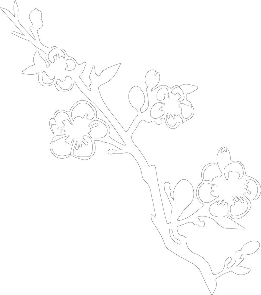 AI generated peach blossom  outline silhouette vector