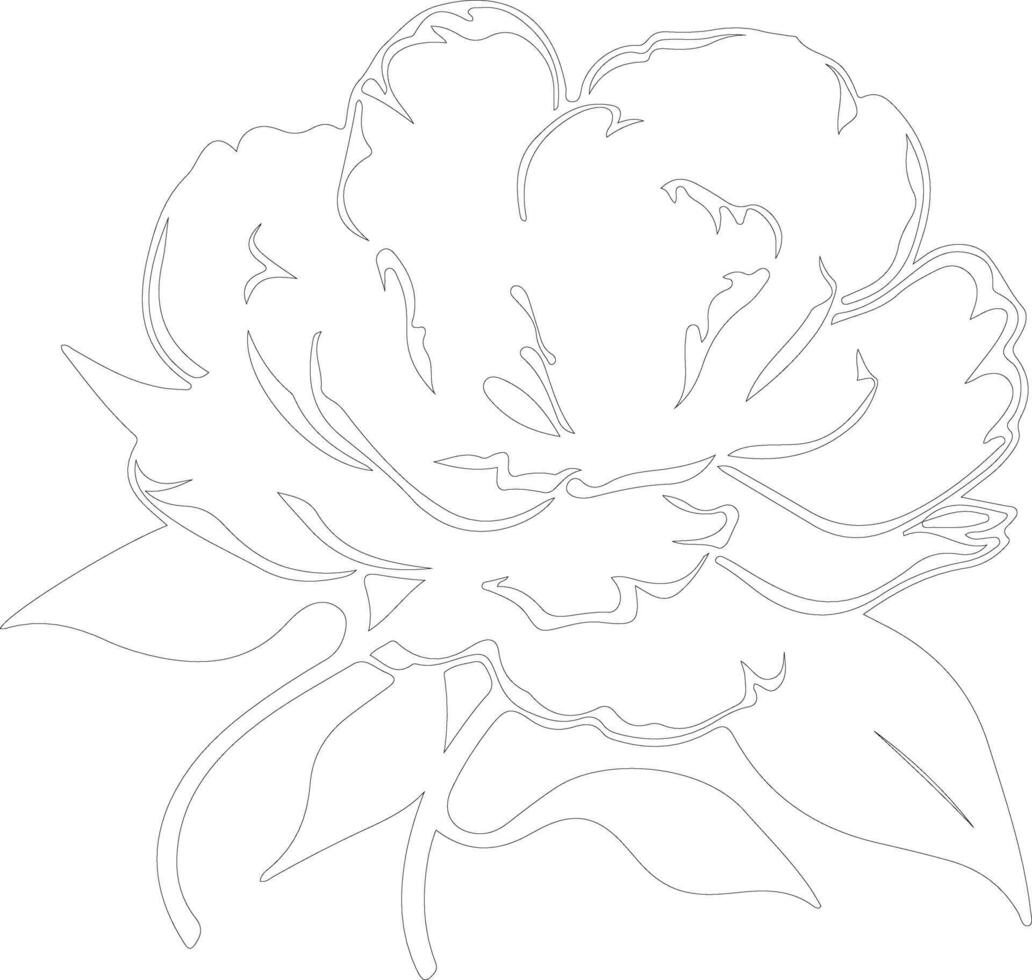 AI generated peony  outline silhouette vector