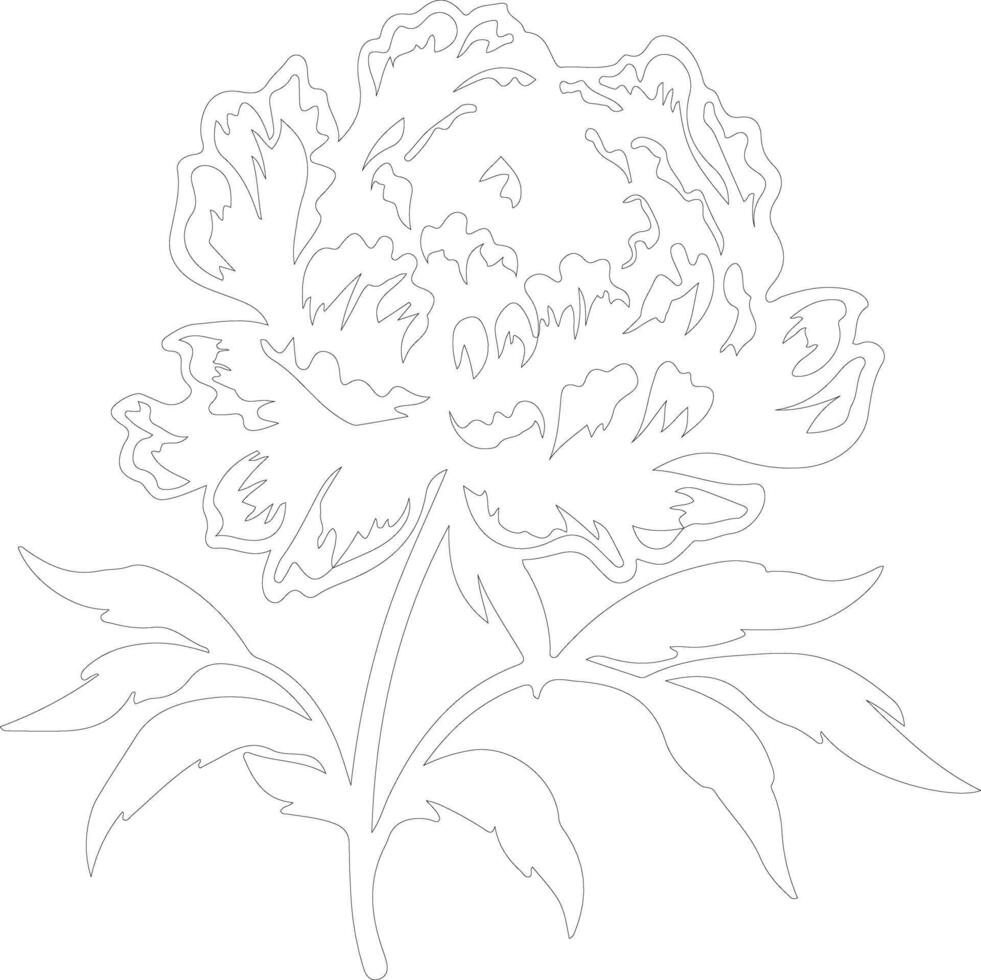 AI generated peony  outline silhouette vector