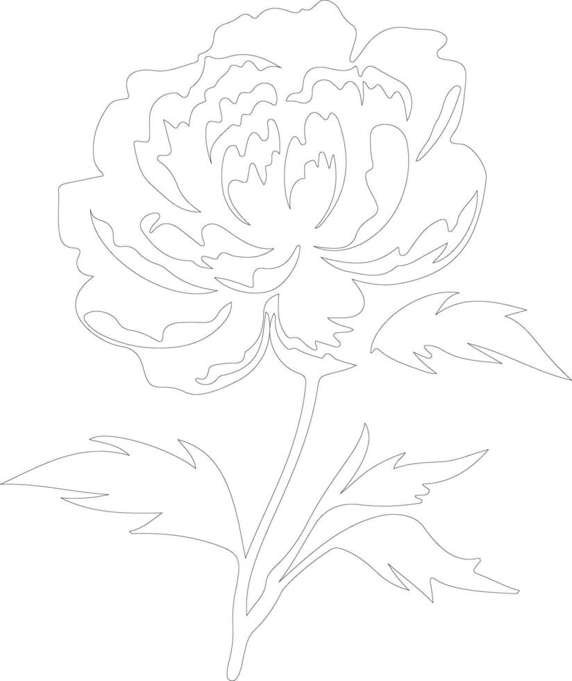 AI generated peony  outline silhouette vector