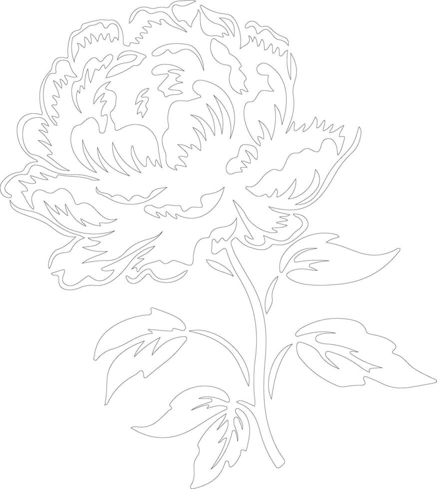 AI generated peony  outline silhouette vector