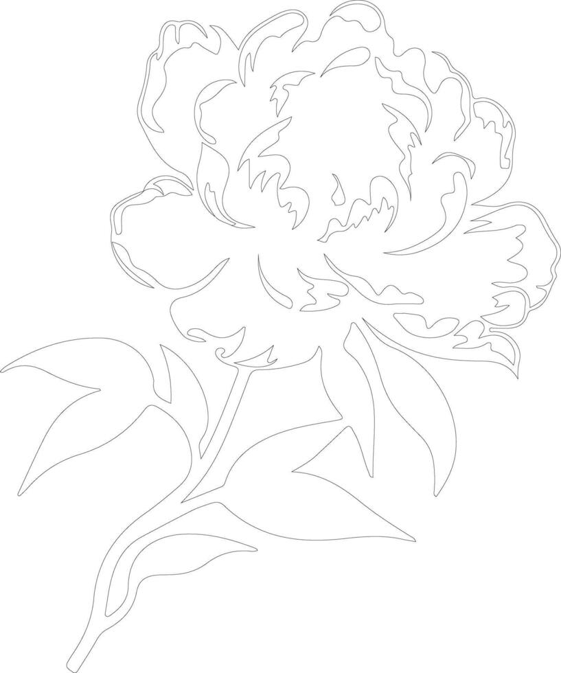 AI generated peony  outline silhouette vector