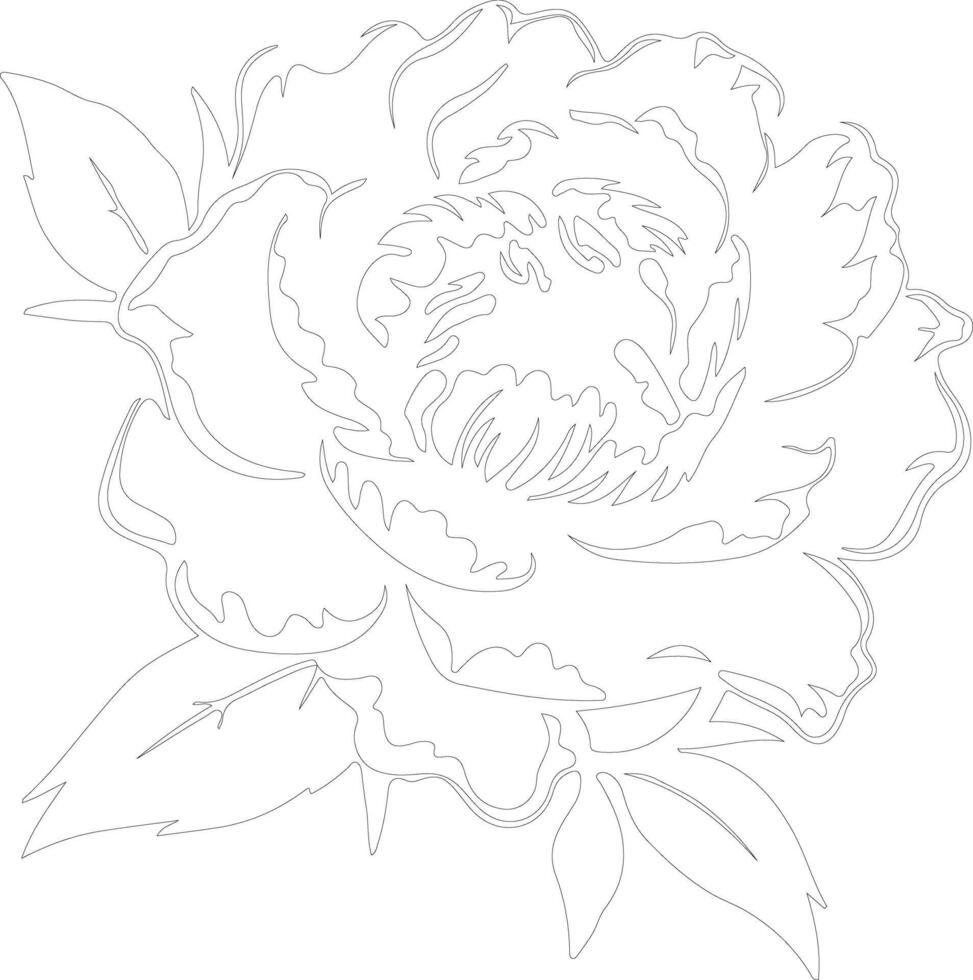 AI generated peony outline silhouette vector