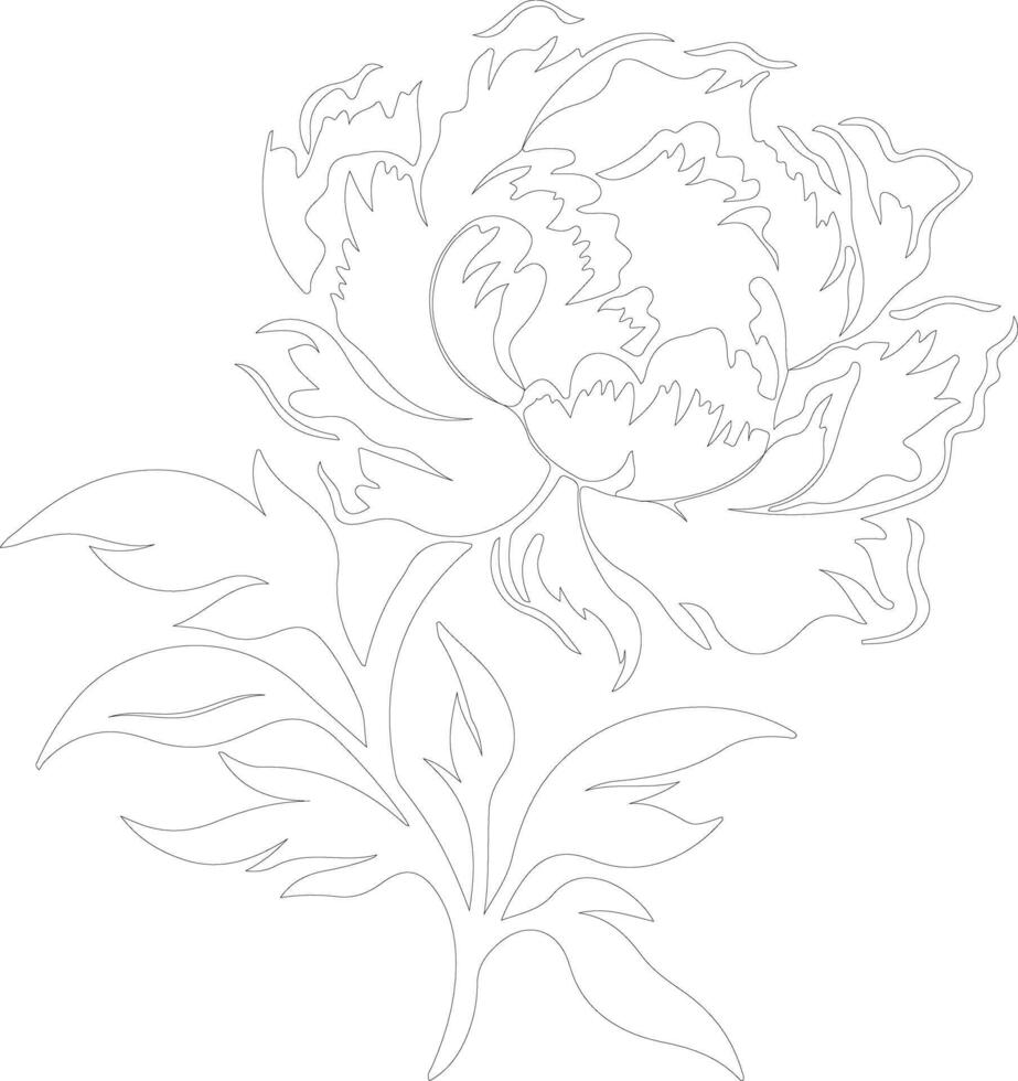 AI generated peony  outline silhouette vector