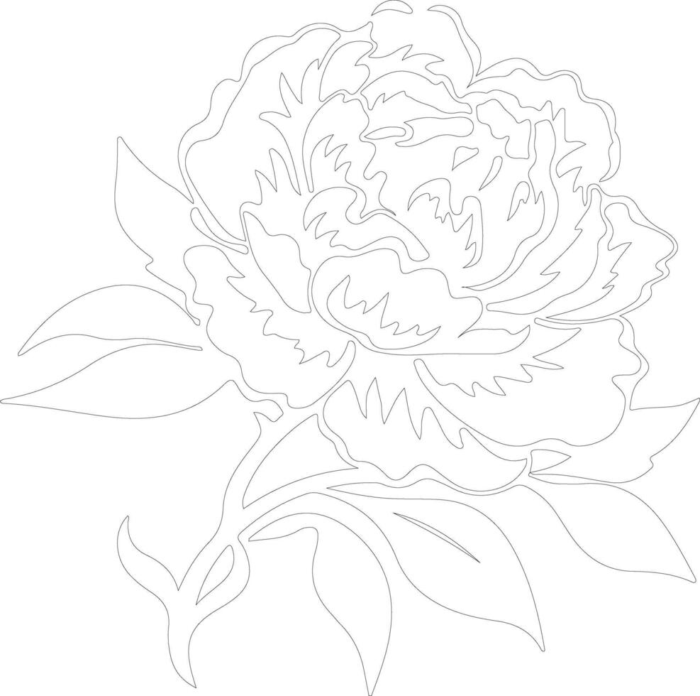 AI generated peony  outline silhouette vector