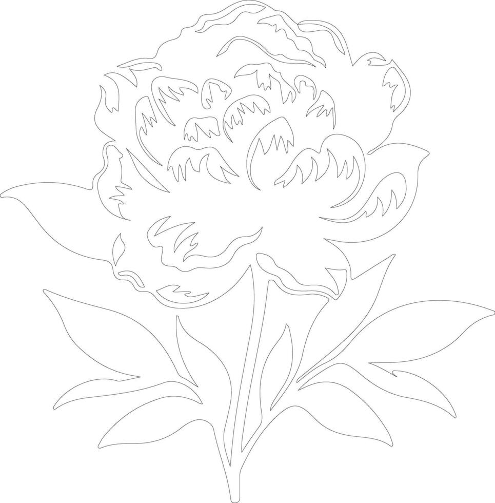 AI generated peony  outline silhouette vector