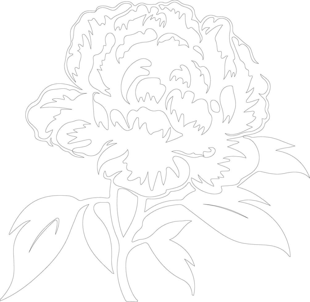 AI generated peony  outline silhouette vector