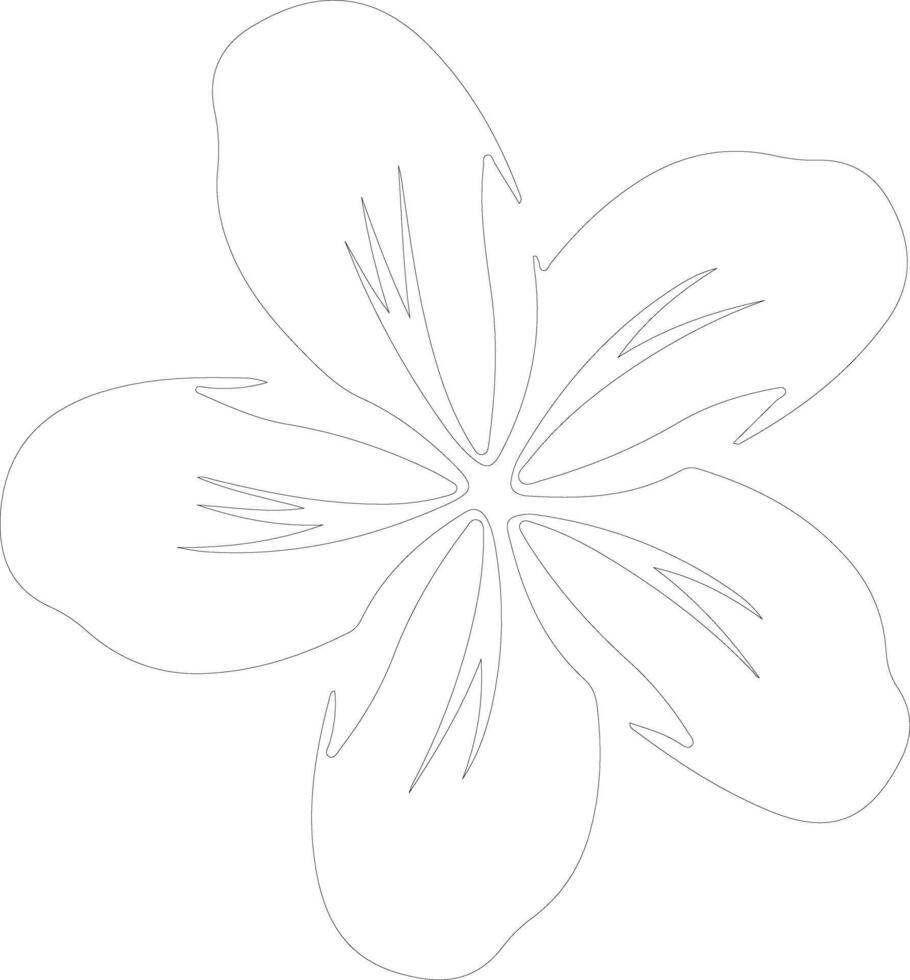 AI generated plumeria  outline silhouette vector