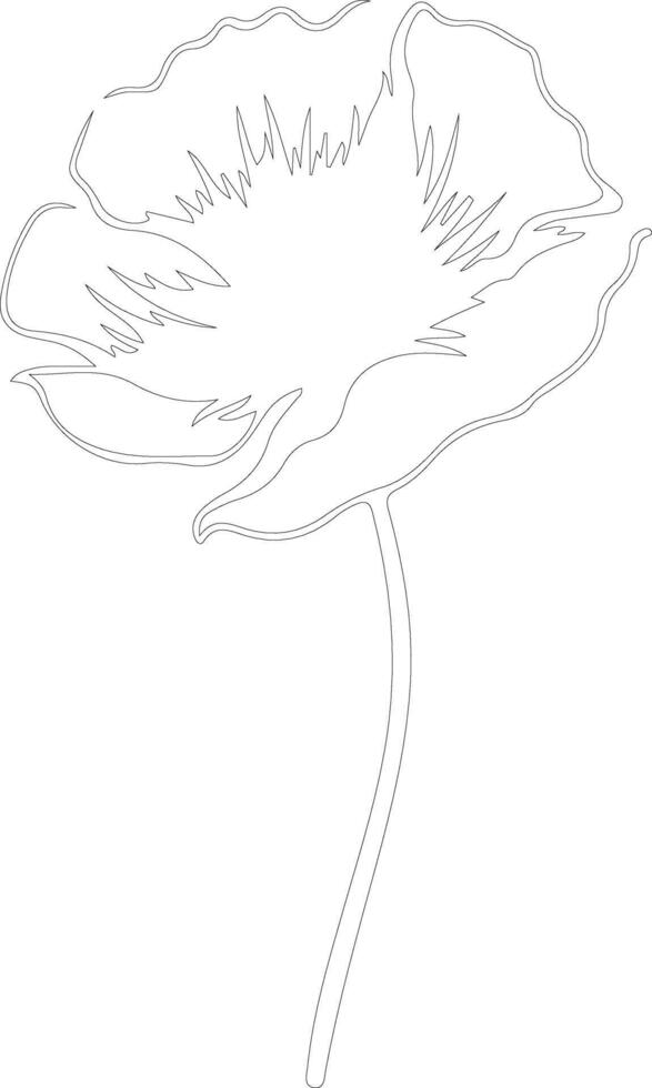 AI generated poppy  outline silhouette vector