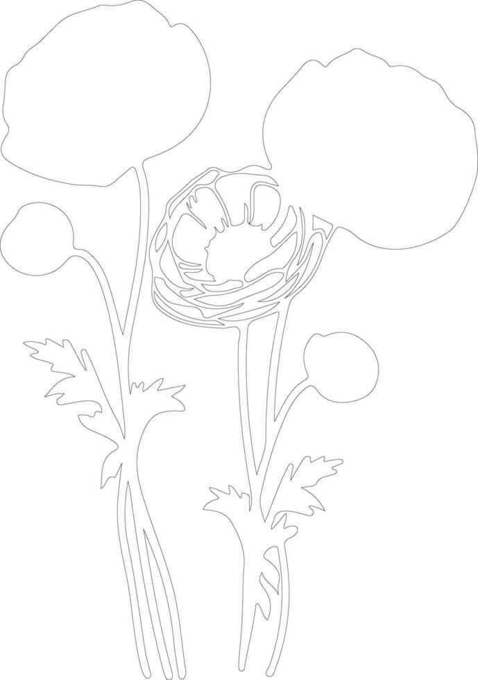 AI generated ranunculus outline silhouette vector