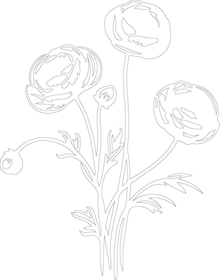 AI generated ranunculus  outline silhouette vector