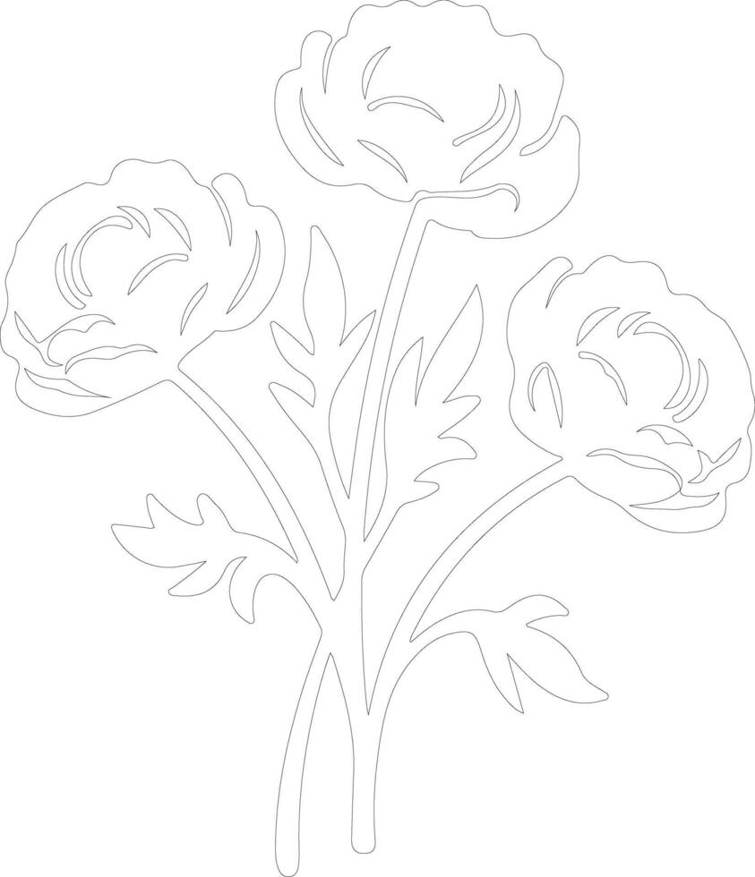 AI generated ranunculus  outline silhouette vector