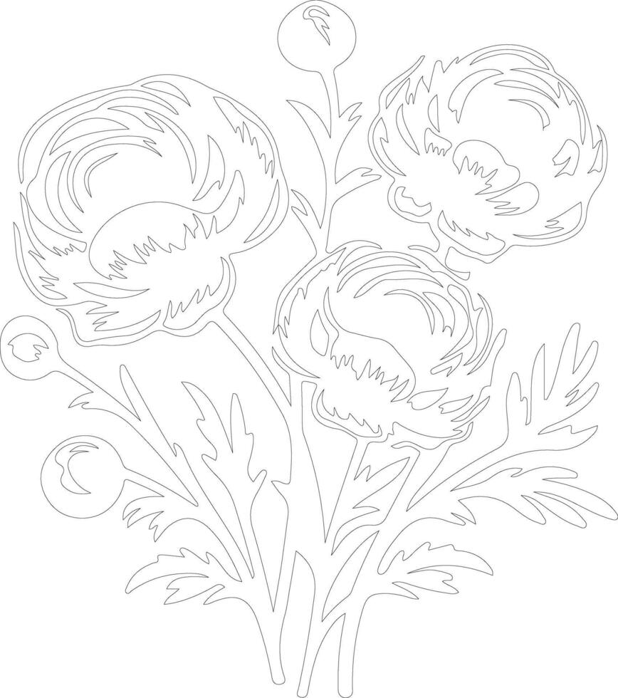 AI generated ranunculus  outline silhouette vector