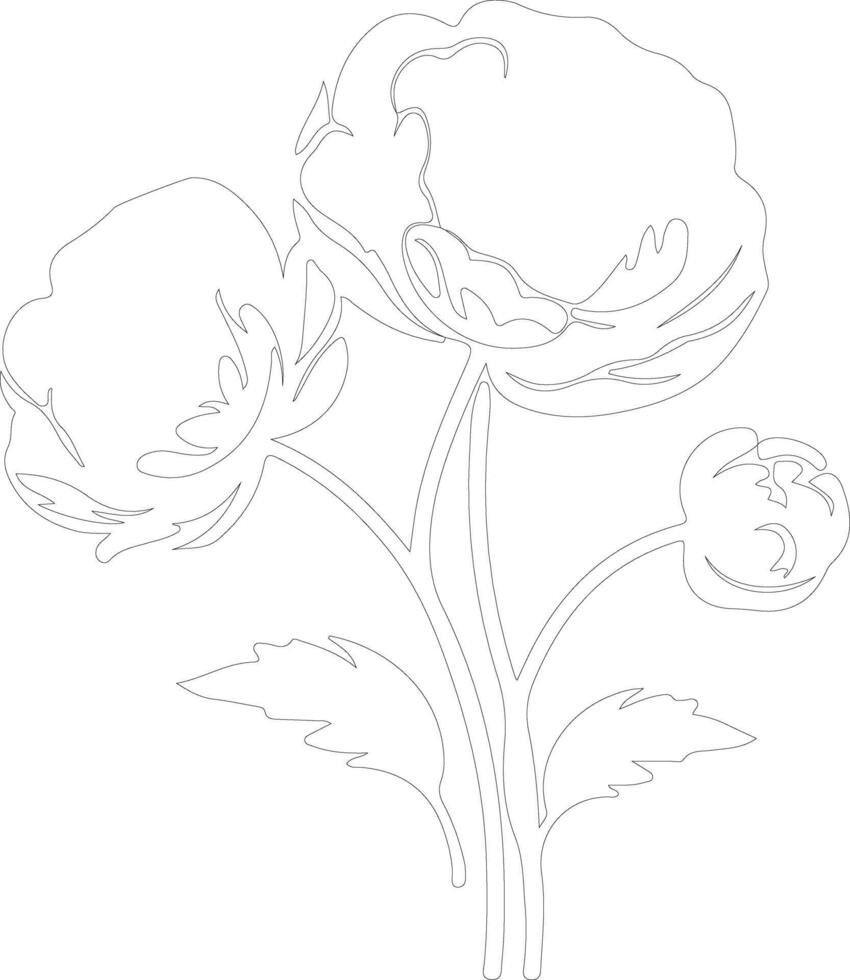 AI generated ranunculus  outline silhouette vector