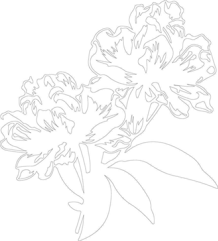 AI generated rhododendron  outline silhouette vector