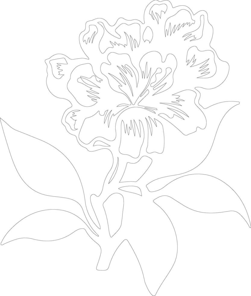 AI generated rhododendron  outline silhouette vector