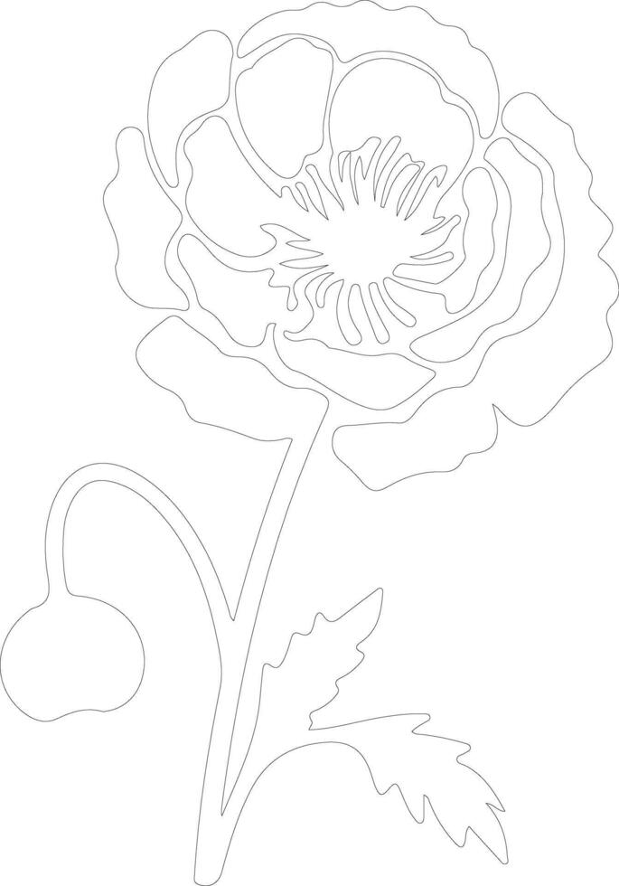 AI generated ranunculus  outline silhouette vector
