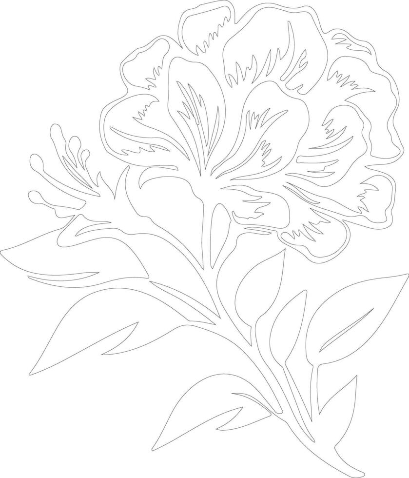 AI generated rhododendron  outline silhouette vector